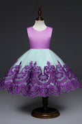 Kids Girls Beautiful Back Bow Cute Fancy Dress