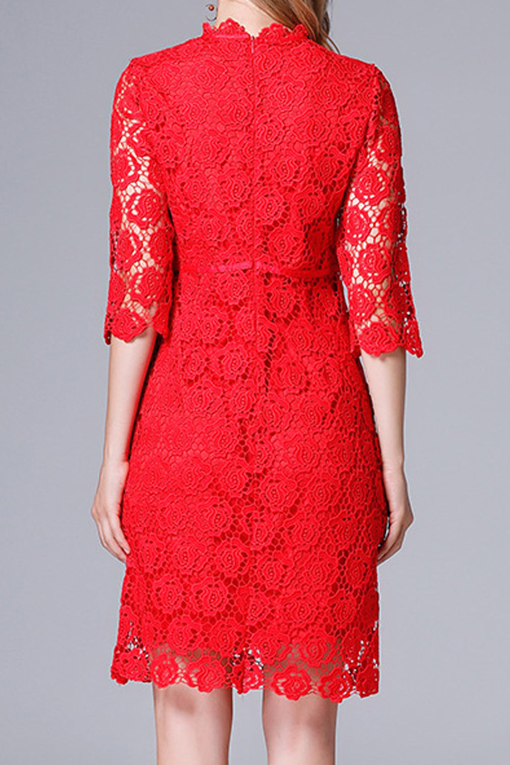 Women Beautiful & Splendid lace Solid Color Dress