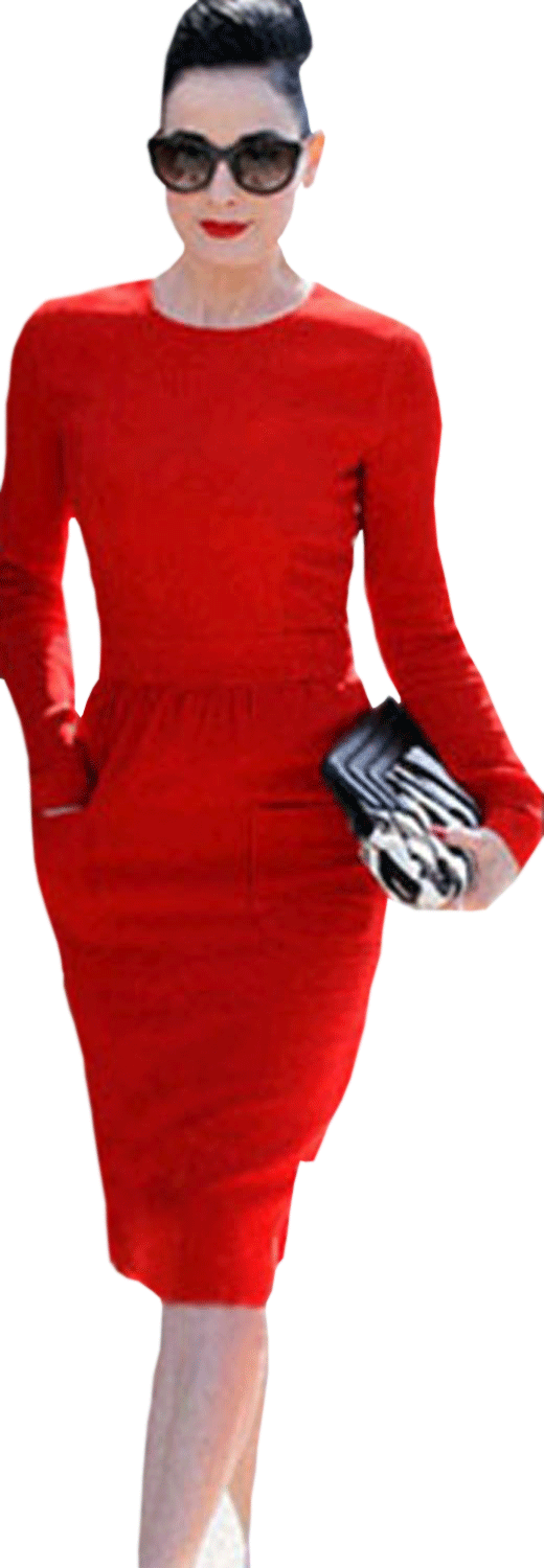 Women Round Neck Long Sleeve Slim Fit Sheath Dress