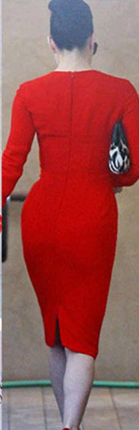 Women Round Neck Long Sleeve Slim Fit Sheath Dress