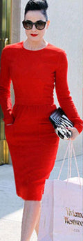 Women Round Neck Long Sleeve Slim Fit Sheath Dress
