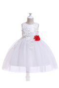 Kids Girls Flower Waist Beautiful Ball Gown Dress