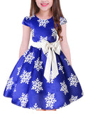 KIds Girls Zipper Back Silk Bow Printed Dress
