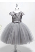 Kids Girls Flower Lace Pleated Ball Gown Dress