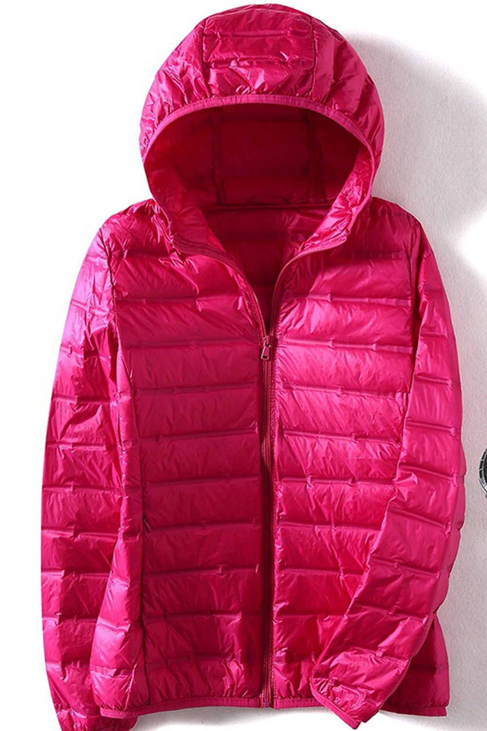 Women Hooded Neck Zipper Style Long Sleeve Warm Winter Padded Jacket