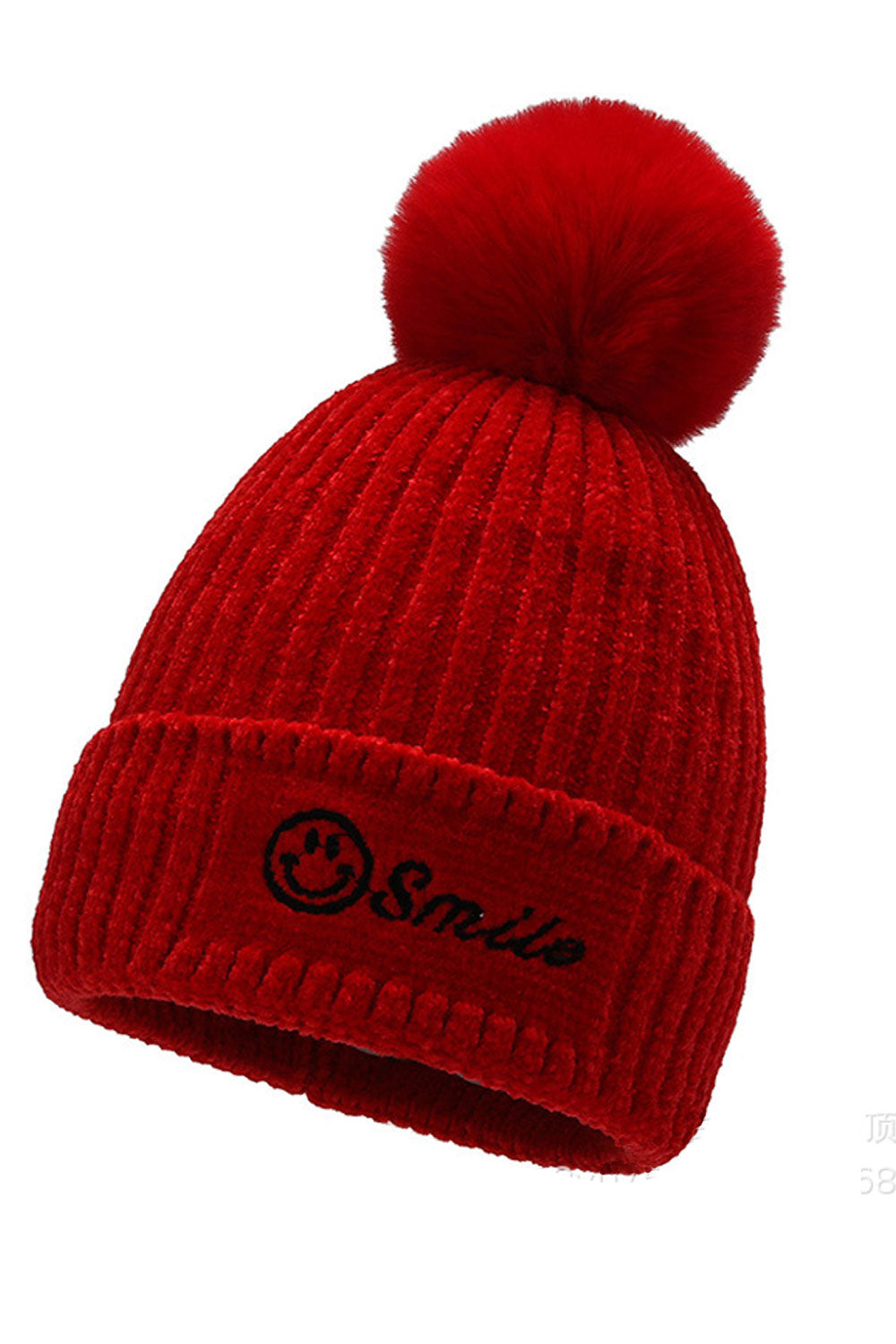 Women Cute Embroidered Woolen Ball Decorative Knitted Hat