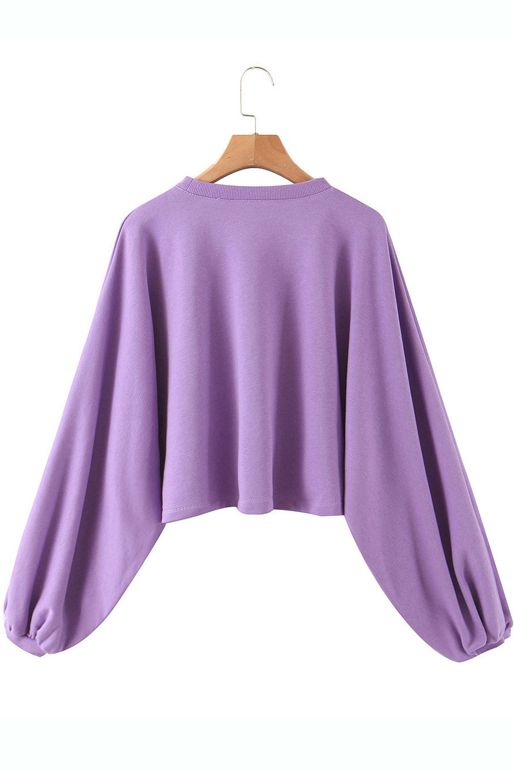Women Elegant Solid Pattern Thick Round Neck Cozy Sweatshirt