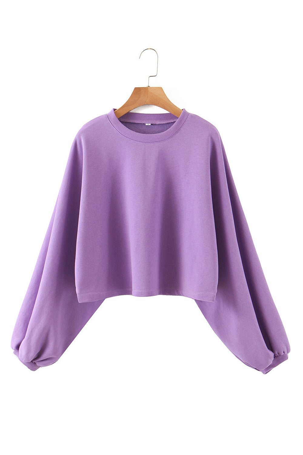 Women Elegant Solid Pattern Thick Round Neck Cozy Sweatshirt