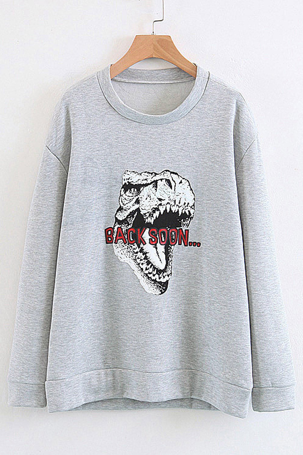 Women Magnificent Dinosaur Printed Loose Style Comfy Sweatshirt