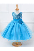 Kids Girls Flower Decorated Sequin Mesh Dress