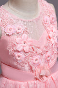 Kids Girls Sleeveless Lace Decorated Evening Party Dress