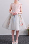 Kids Girls Embroided Decorated Mesh Dress