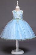 Kids Girls Lace Beaded Mesh Soft Ball Gown Dress