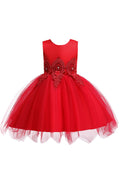 Kids Girls Embroidered Lace Irregular Mesh Dress