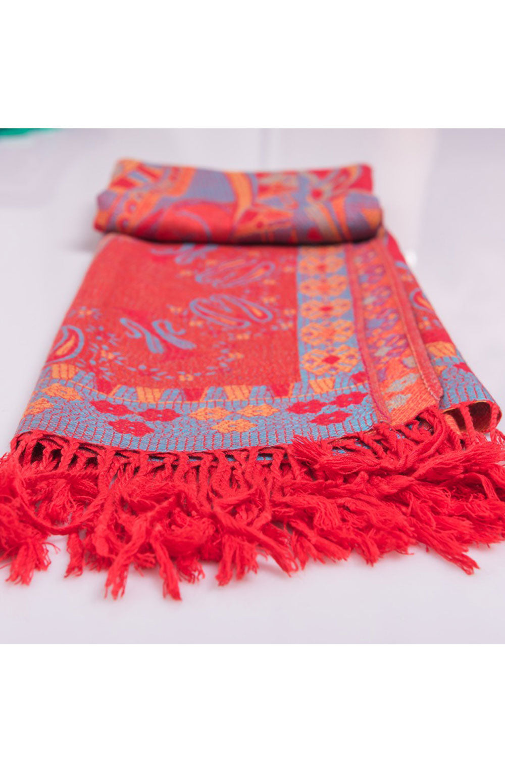 Women Autumn & Winter Tassel Decorated Warm Shawl