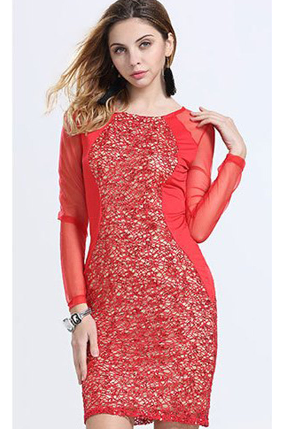 Women Sheer Long Sleeve Lace Decorated Sheath Dress Red