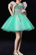 Kids Girls Lovely Fluffy Net Decorated Evening Dress